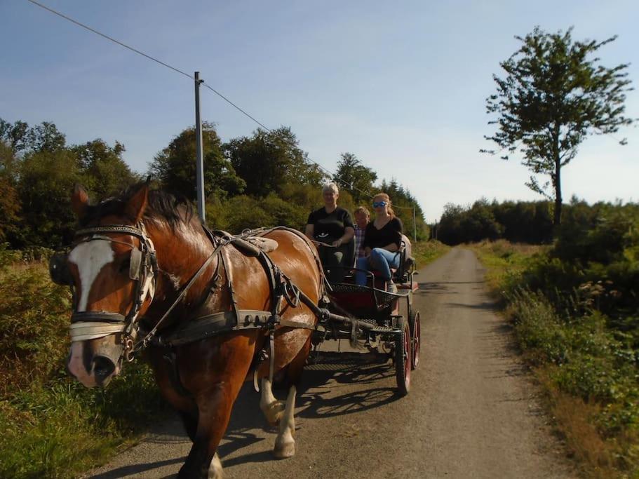 Gite : La Cochetiere : Ancienne Ferme 18Eme Βίλα Le Grais Εξωτερικό φωτογραφία