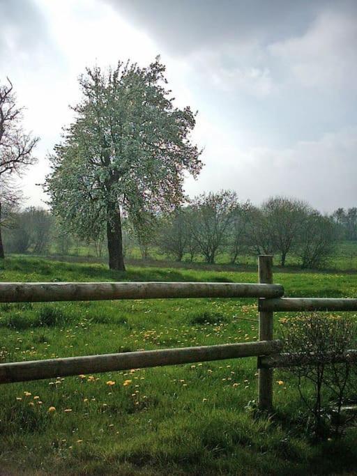 Gite : La Cochetiere : Ancienne Ferme 18Eme Βίλα Le Grais Εξωτερικό φωτογραφία